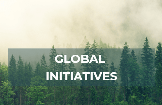 Global Green Global Initiatives